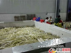 潛江一水產(chǎn)加工廠停水危機，消防緊急運送30噸水解困