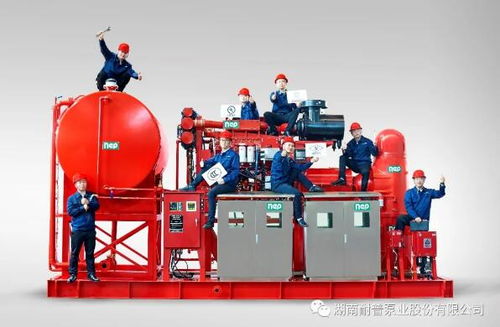 耐普泵業(yè)產(chǎn)品助力中國(guó)海洋裝備建設(shè)——中海油陸豐油田群區(qū)域開(kāi)發(fā)項(xiàng)目柴油機(jī)消防泵組順利交付